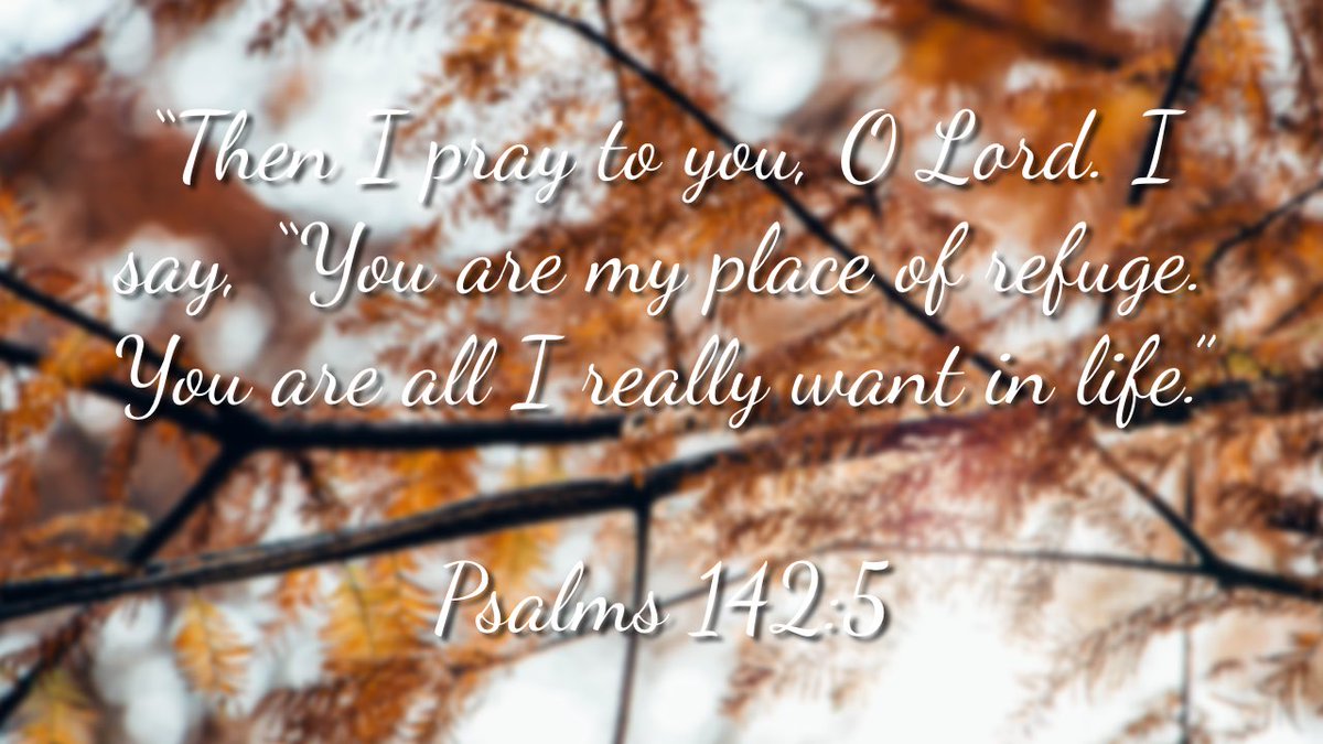 Hi my beautiful and handsome people! Latest video is up!
https://t.co/2Zp7i54H4f
#Jesus #love #good #vlog #faith #joy #sunday #verse #sundayvibes #mercy #success #bible #January #YouTube #bibleverse #blessed #peace #hope #prayer #goodmorning #kind #morning #patience #Scripture https://t.co/uGILLEZD7A