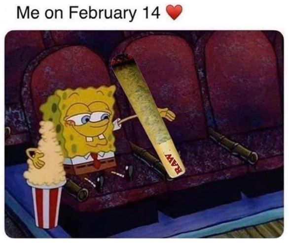 WorldOfBongz's tweet photo. Mary Jane is my Valentine 💚 https://t.co/k2bLM6Qo7c