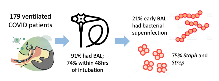 1/# Excited to share our  #NUCOVIDInvestigators work looking at  #BAL in intubated  #COVID19 patients with  @NM_lung  @RoganAGrant  @MichaelCuttica  @luisamnMD  @nufeinbergmed  @NU_IntMed @BavishiAvni  @jarnold93  @ScottBudinger  @bsinger007 & Rich Wunderink!  https://www.medrxiv.org/content/10.1101/2021.01.12.20248588v1