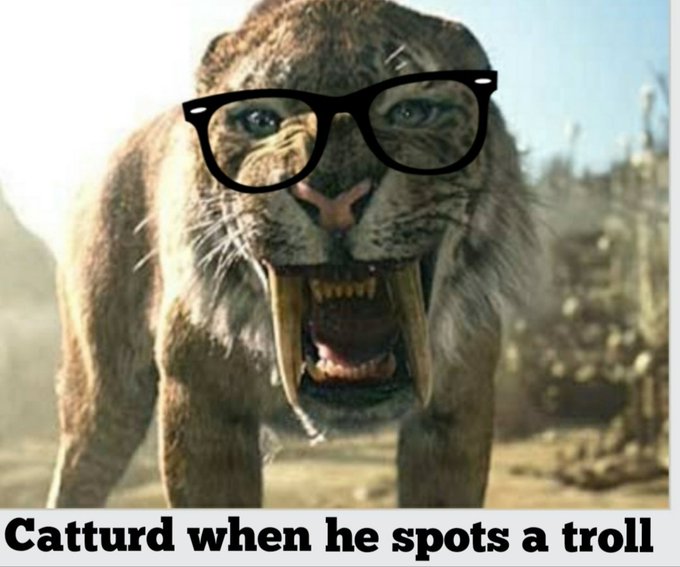 catturd2's tweet image. 