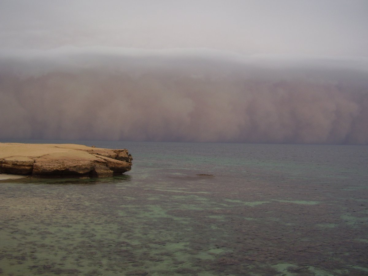 I miss travelling (23): sandstorm on Kamaran island, off the coast of western Yemen in the Red Sea: before, during, after, and the beach, one of the nicest I've ever seen, on the day after.