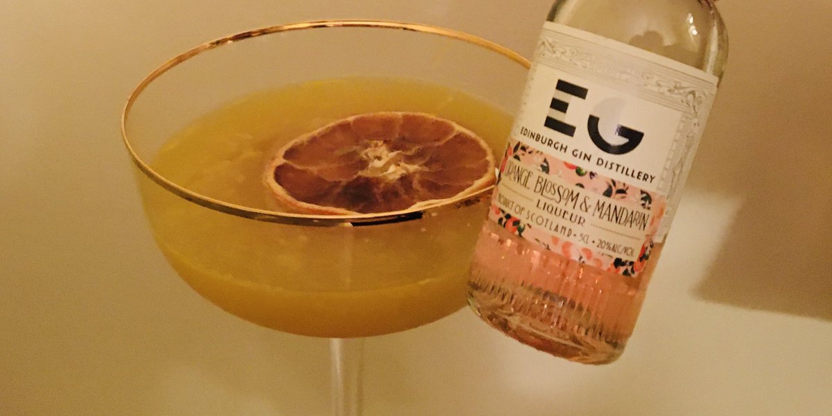 Gin Tonic tweet media