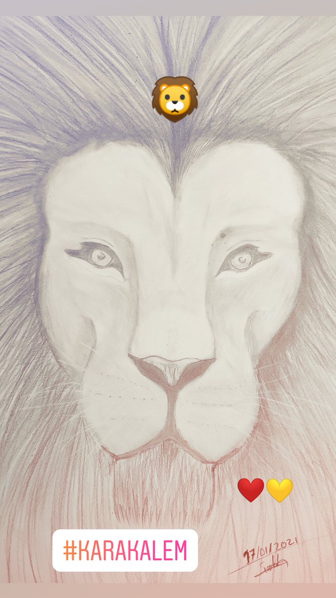 salih aktas (@salihaksis) on Twitter photo 