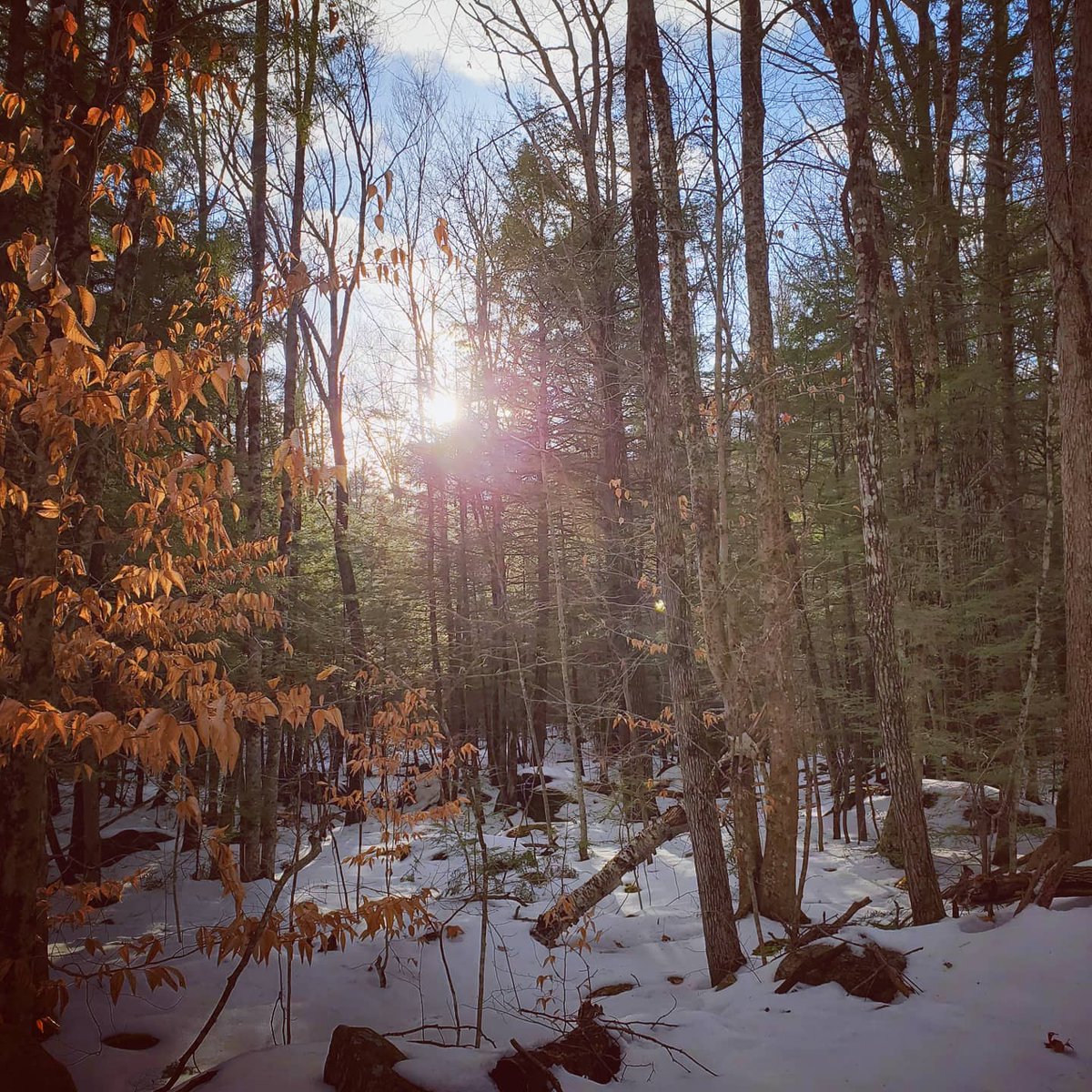 Social4Sarah's tweet photo. Local adventures today. #ConservationLand #Trails #GetOutside #TakeAHike #PuzzlePiece https://t.co/UrB6CMPtie