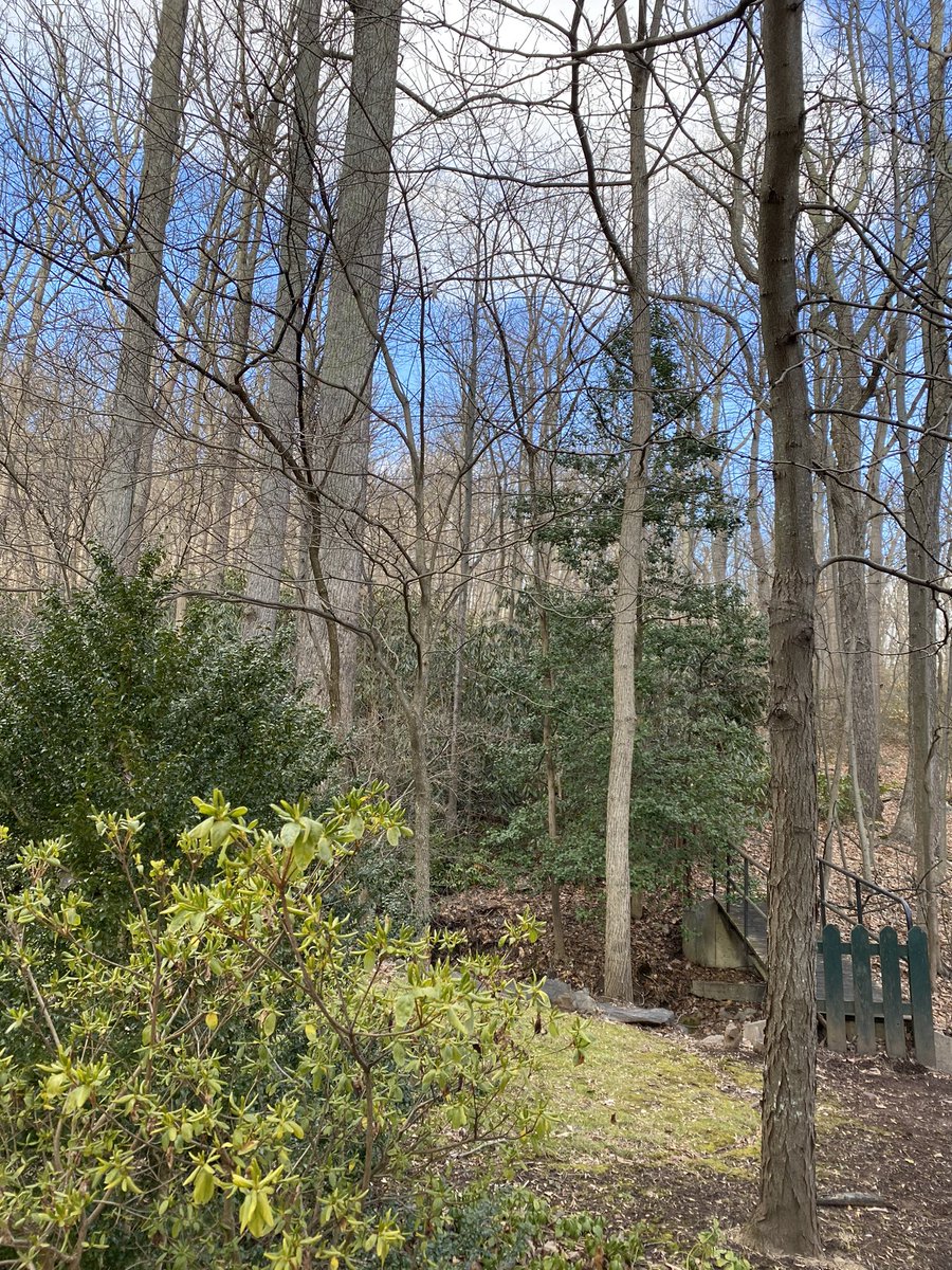 MarieMu83840428's tweet photo. A quick visit to MSMU this afternoon, always fun to return to Emmitsburg! @MSMU @jen_fucci @MrMillerSAS @DeniseBall_EDU @JennySoveroRoss @Rhonnie_joy @StAugustineElem https://t.co/THHNLKBLCl