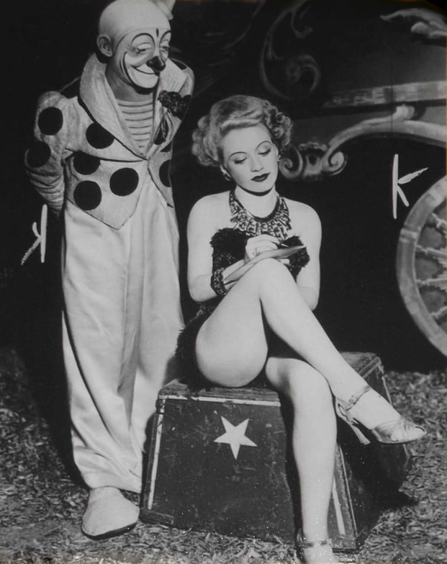 Tinsel Sun (@tinselsun) on Twitter photo 