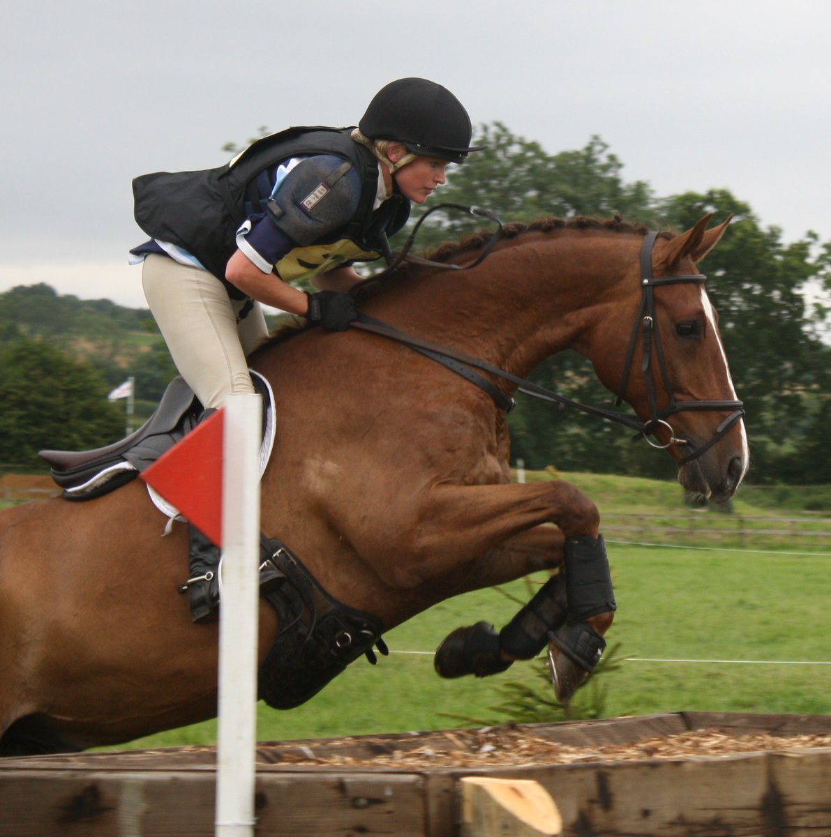 Very sadly <a href="/GoringHeathHT/">Goring Heath HT</a> will not run this Easter  A difficult decision We couldn't hang on any longer as should be asking Volunteers Judges &amp; Contractors to commit 
Hard for so many especially BE Members &amp; all relying on events for their livelihood  Goring 2 4&amp;5 Sept #staysafe