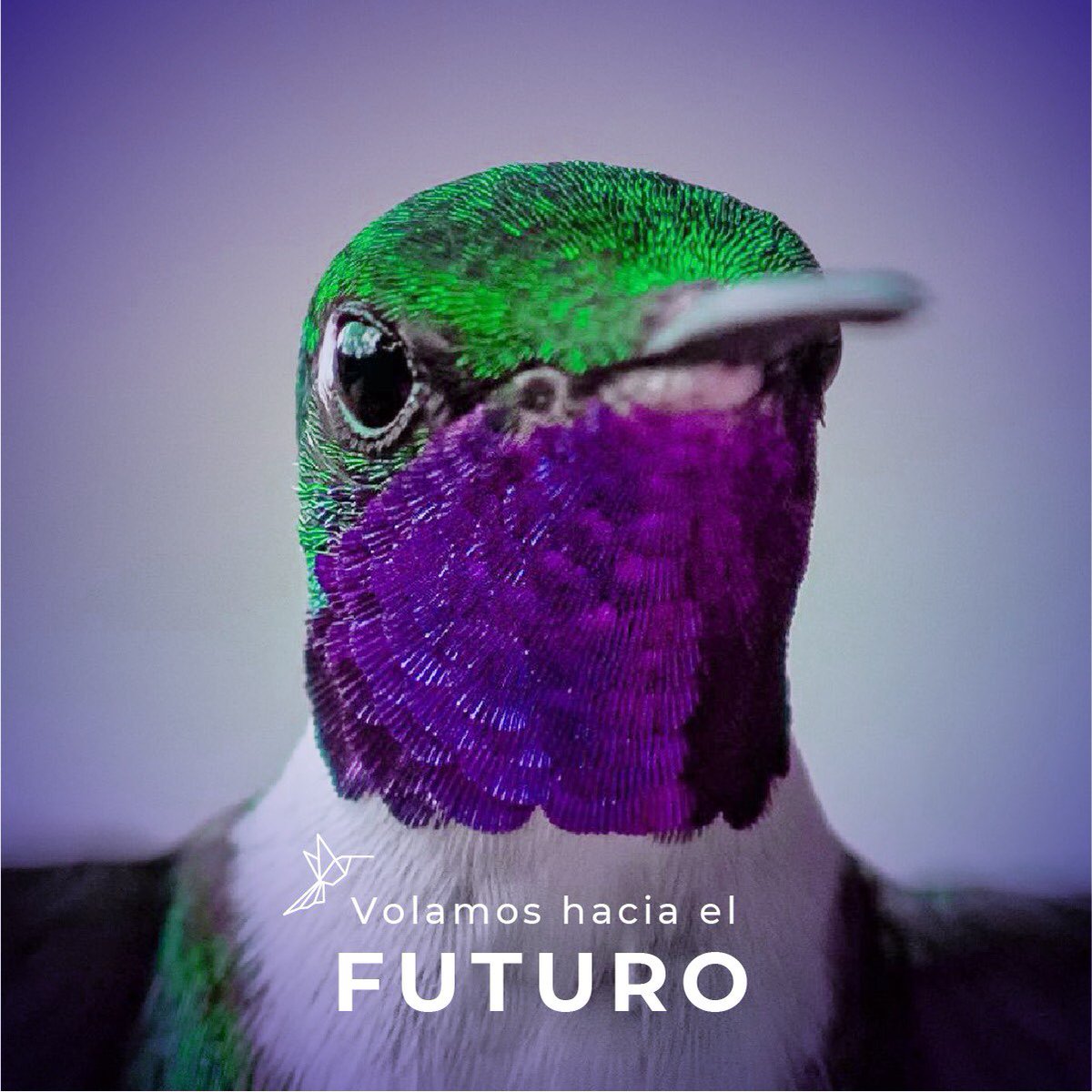 Somos una marca de vanguardia, llegamos al mercado de América Latina a revolucionar la forma de llegar a tu destino y de darle el valor al tiempo que mereces.

Estamos convencidos que el tiempo es el recurso más valioso y siempre valdrá la pena utilizarlo mejor