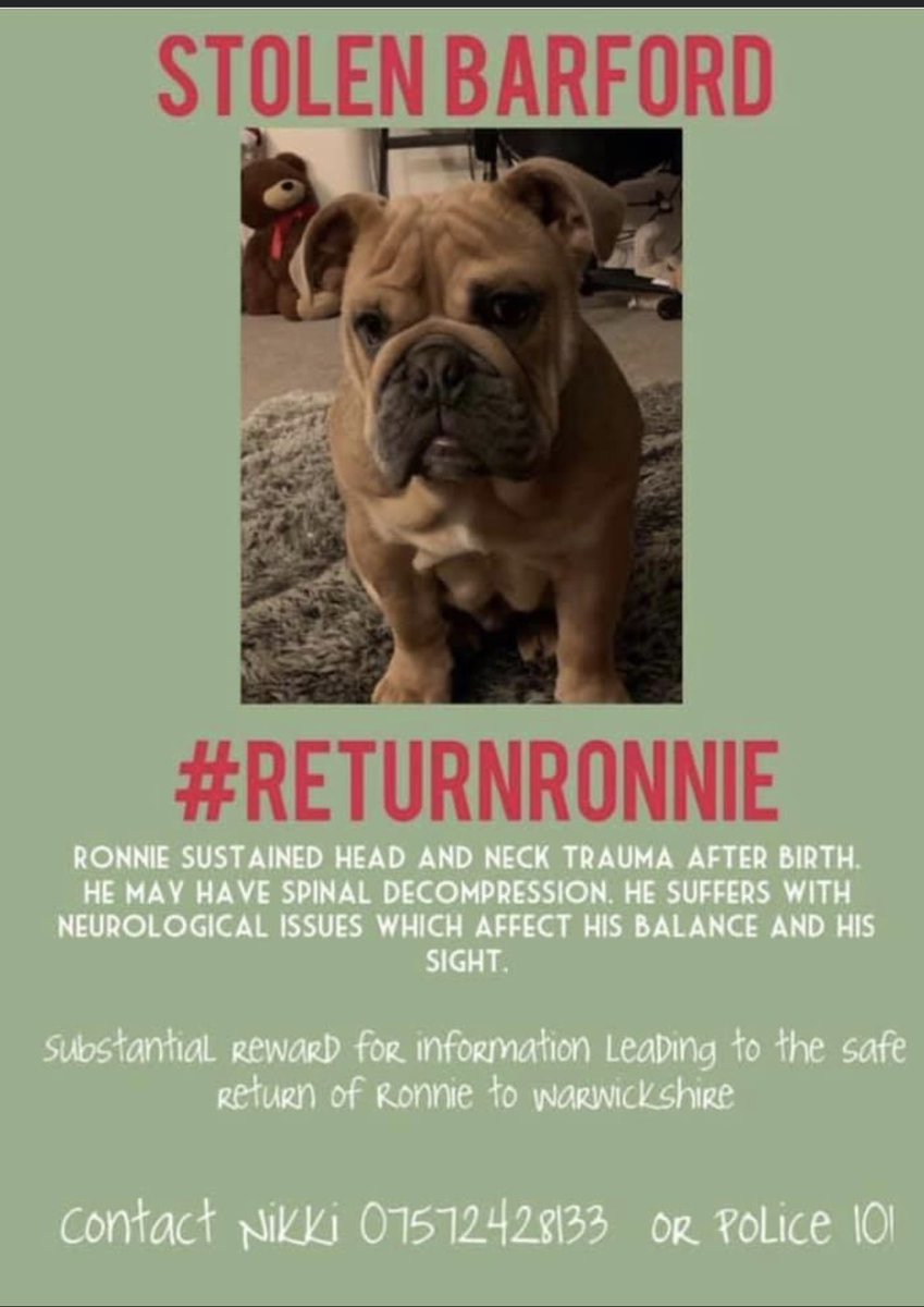 @wearefreeradio @loosewomen @Coventry_City @mrshinchhome @StaceySolomon @TanyaBardo7 @radioleary @leamcourier @CharlotteHawkns @LeamingtonFC @warwickarts @WarwickRaces @WarwickCastle @leamobs @LeamGuideDogs #RETURNRonnie 🔥🔥Make Ronnie too hot to handle🔥🔥 @ReturnRonnie