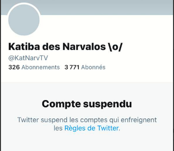 Ctrlsec_FR's tweet photo. Ce soir, le compte @KatNarvTV a été suspendu pour une raison inconnue
C'est un partenaire qui remonte 30% des comptes #DAESH que nous signalons (15.000 cibles en 2020), entre autres!

⚠️ Merci de le restaurer au plus vite⚠️

@TwitterSupport @TwitterFrance @damienviel 
@ebothorel https://t.co/4qnflKjCom