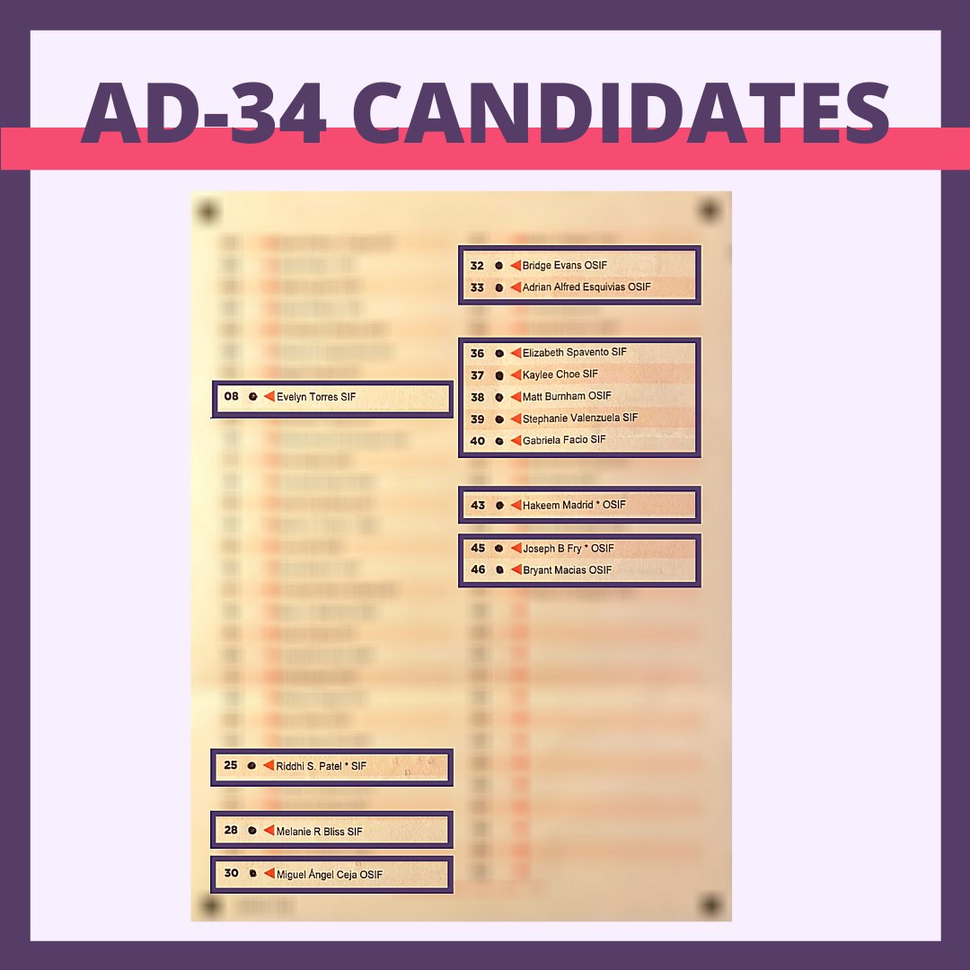 ademrevolution's tweet photo. Hi! We just wanted to say that the #ADEM elections are not over yet! You still have to send in your ballot if you haven't yet!

We also wanted to say thank u &amp; say how grateful we are for everyone who decided to vote for our slate of #ADEM revolution candidates for AD-32/AD-34 🥰 https://t.co/ScYzTqvJ2v