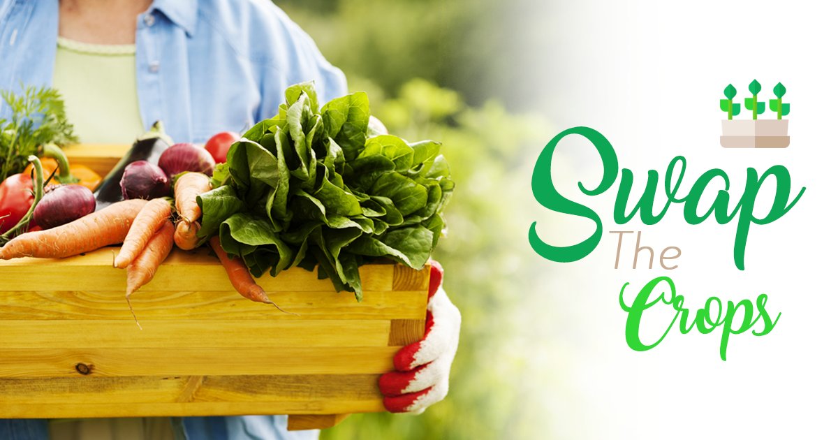 FromSpeaks's tweet photo. Grow vegetable crops in different places each year to reduce soil pests and diseases infections. https://t.co/UkA6iOxjgI