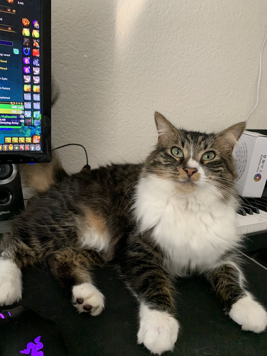 Piffzorz (@piffzorz) on Twitter photo 