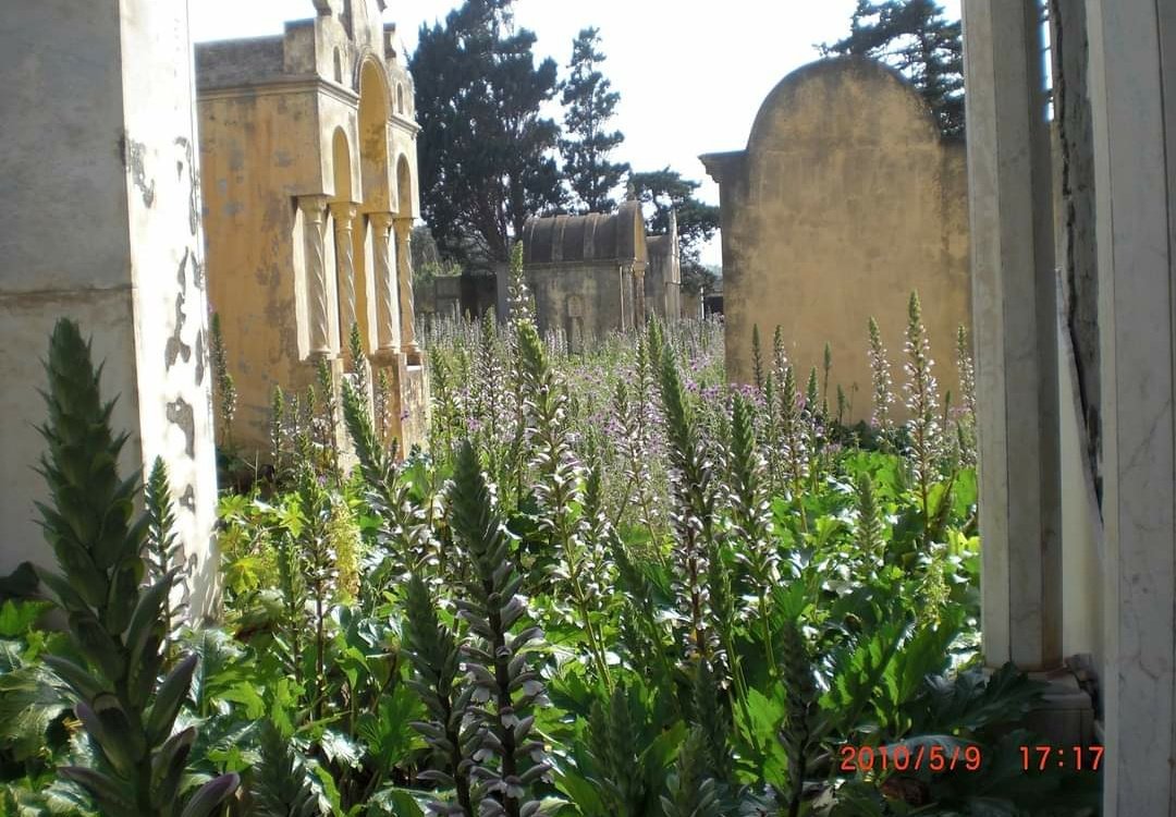 2009 photos of the cemetery where my grandfather was the caretaker. The graves have been destroyed. Even the dead they don't respect!