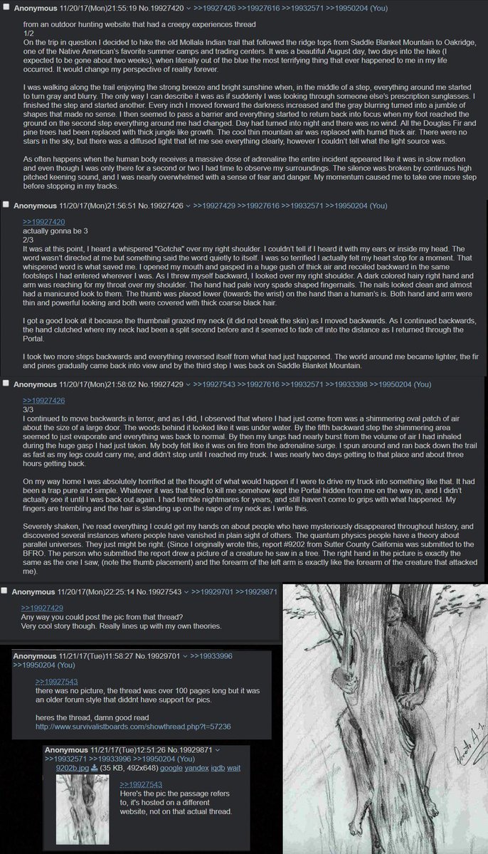 12VNdotNET's tweet image. Extremely Strange Encounter / Kidnap attempt. Sasquatch, a multi dimensional being, or something else. You decide. #portals #bigfoot #strange #hiking #missing411 #luckyescape #aliens #entity