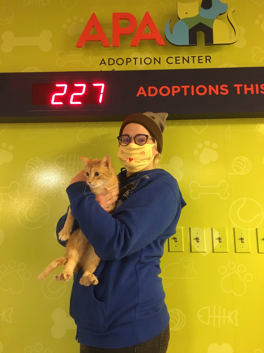 APAofMO's tweet photo. Champagne has been adopted! 🍾 https://t.co/j73OU7Z8M8