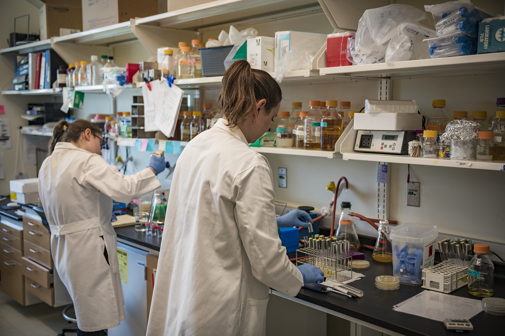 Have a big idea in healthcare? Want to win $20,000 in prize money? Join the 2021 Sloan Healthcare and BioInnovations Conference Pitch Competition, open to student entrepreneurs innovating in the healthcare space!
Apply by Jan 25th, 2021: ow.ly/553O50D9ToQ