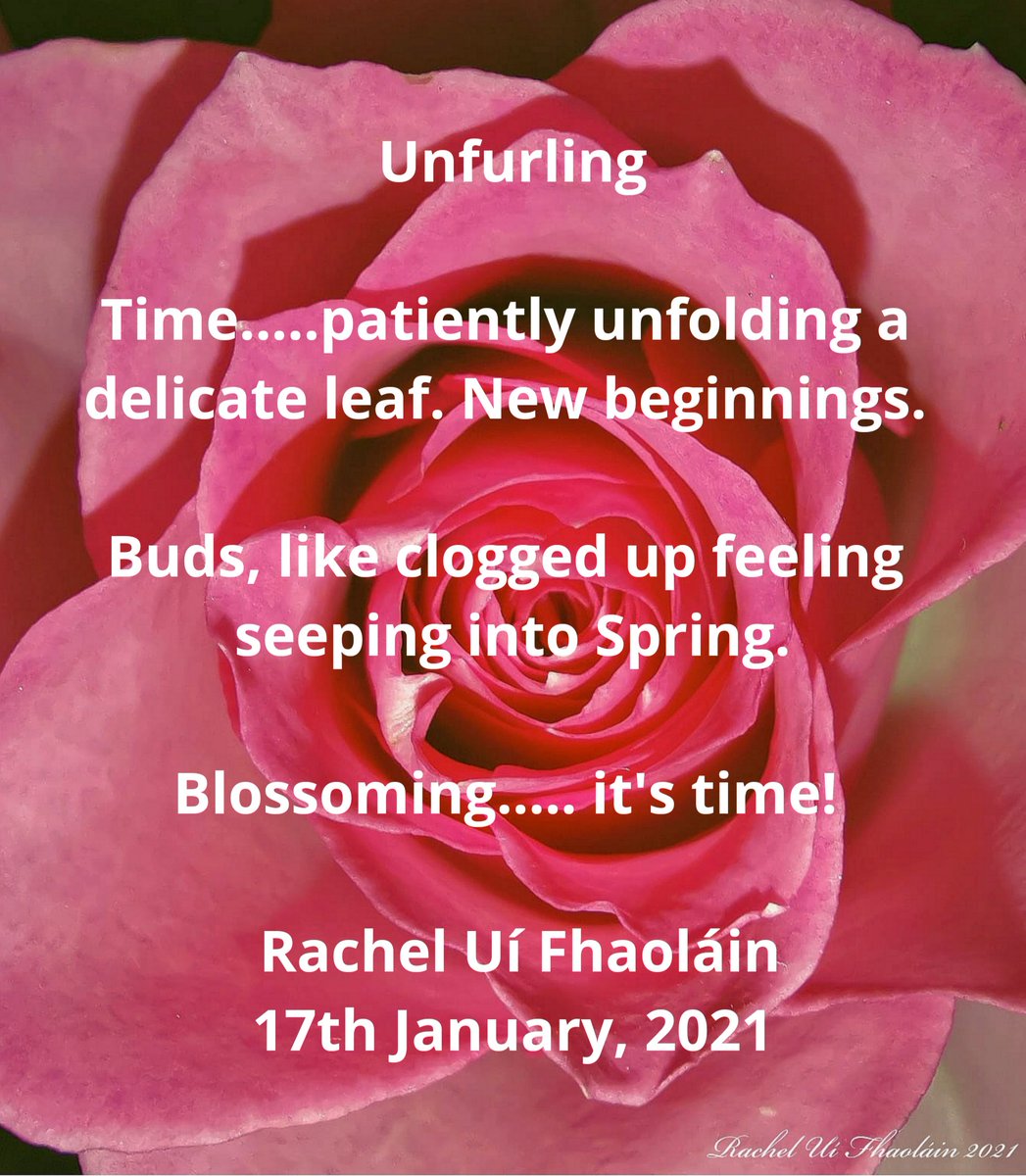 Unfurling...
#poem