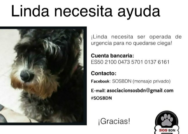 Sosbdn pide ayuda para linda para  recuper la vista.
 fue maltratada  le cortaron las cuerdas vocales  ayuda a linda