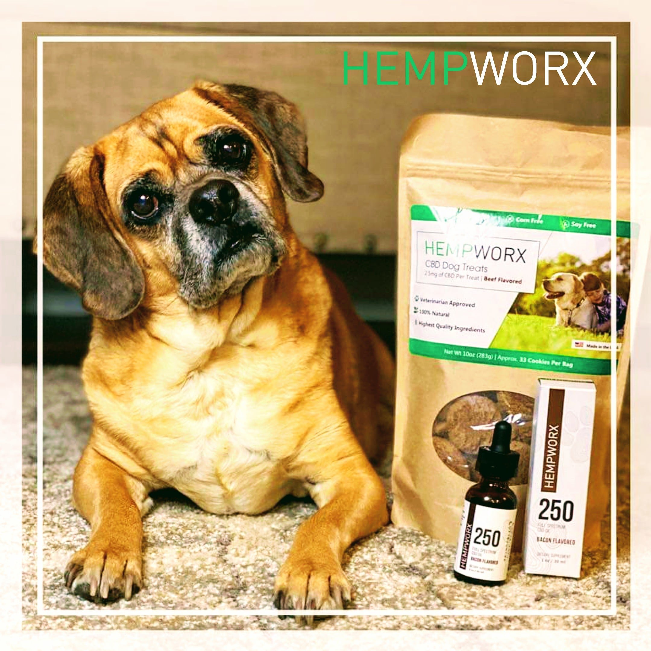 CannaCare 315 HempworxNeashka X