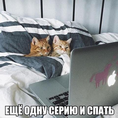 Спокойной ночи!