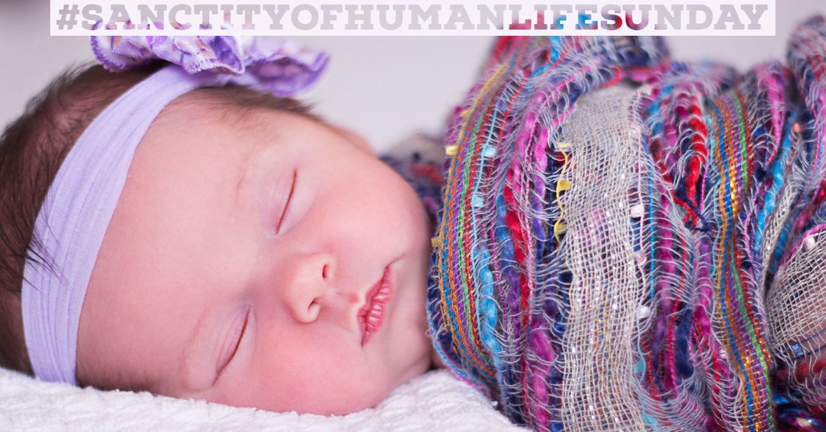 ASP_OH's tweet photo. On #SanctityOfHumanLife Sunday, we are reminded that every human life is precious and has intrinsic dignity from conception until natural death. All human lives have been "fearfully and wonderfully made" in the image of God (Psalm 139:13-16; Genesis 1:27). https://t.co/BOz2Hyihxi