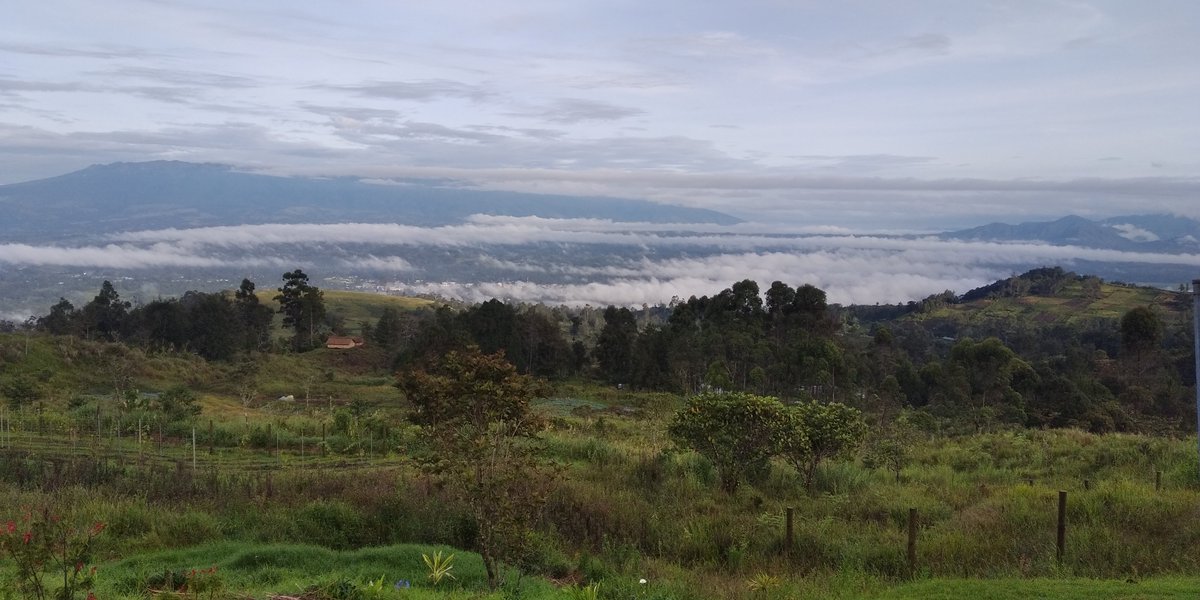 RodfieldpKuna's tweet image. Morning view from Rondon Ridge lodge, over looking Mt Hagen city.
Beautiful  place to spend the night.  Next time you&apos;re in Eagle 🦅 land for private or business reasons pay a visit to this eco-friendly lodge. 
Next 2 week&apos;s will be my home.
#supportMSME.
#RondonRidgeLodge🇵🇬🦅🔆