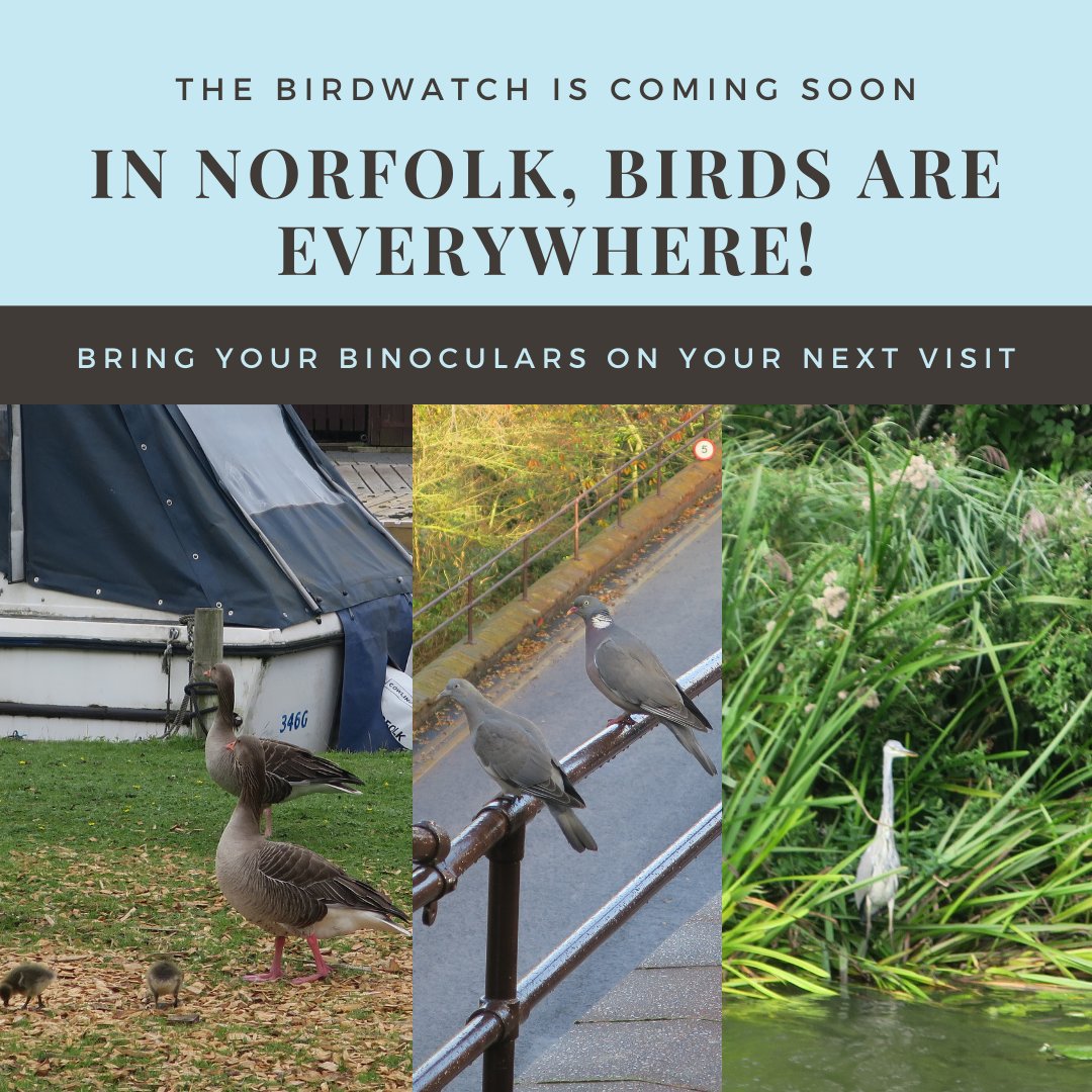 The <a href="/Natures_Voice/">RSPB</a> Bird Watch is coming soon!