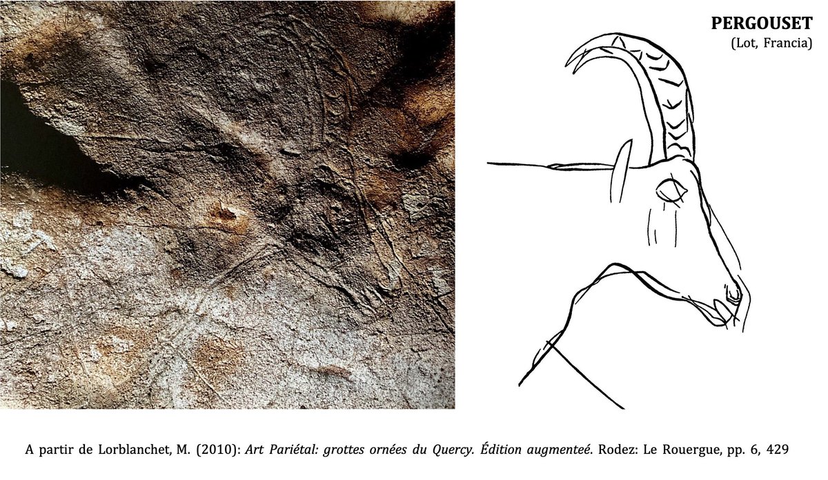 Al igual que en otros animales, los artistas paleolíticos llegaron a ser tan minuciosos  que representaron ojos, pelaje, orejas e incluso anillos de la cornamenta en algunos ejemplares como los de Ekain, Mas d’Azil o Tito Bustillo 