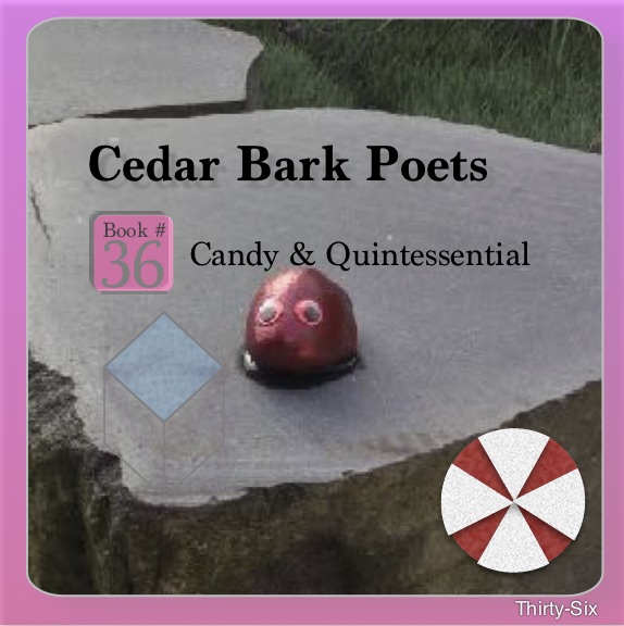 GroveFriends's tweet image. Cedar Bark Poets welcomes 2021

Poetry Book #36 ‘Candy &amp;amp; Quintessential’ is now up on the website

friendsofthegrove.ca/cedarbarkpoets…

Enjoy
--
The theme for the next Poetry Book(#37) will be
‘‘Calendars &amp;amp; Sunsets’
Due by January 30th

Sent your Poems to 
cedarbark@friendsofthegrove.ca