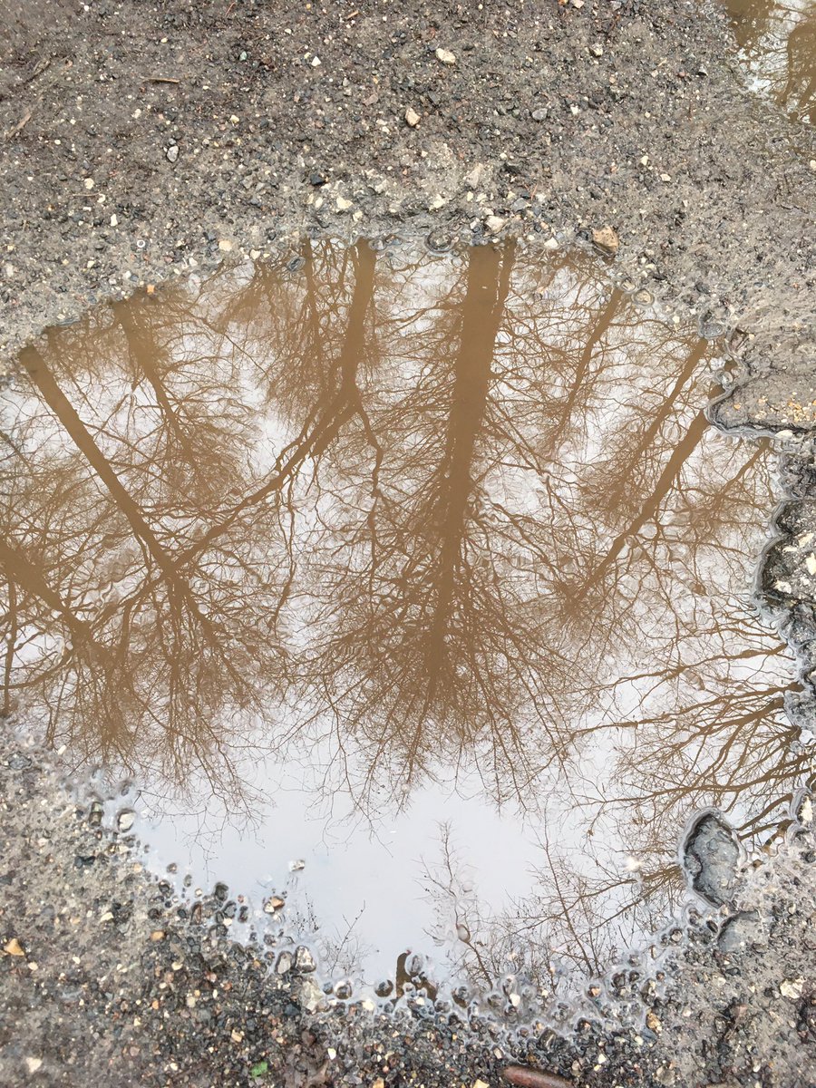 seaparkin's tweet photo. Yes kids I am going to look into puddles, yes I would like to go somewhere new #puddles #senseofadventure #localwalk #matlock #derbyshire https://t.co/kh0MQg1yYo