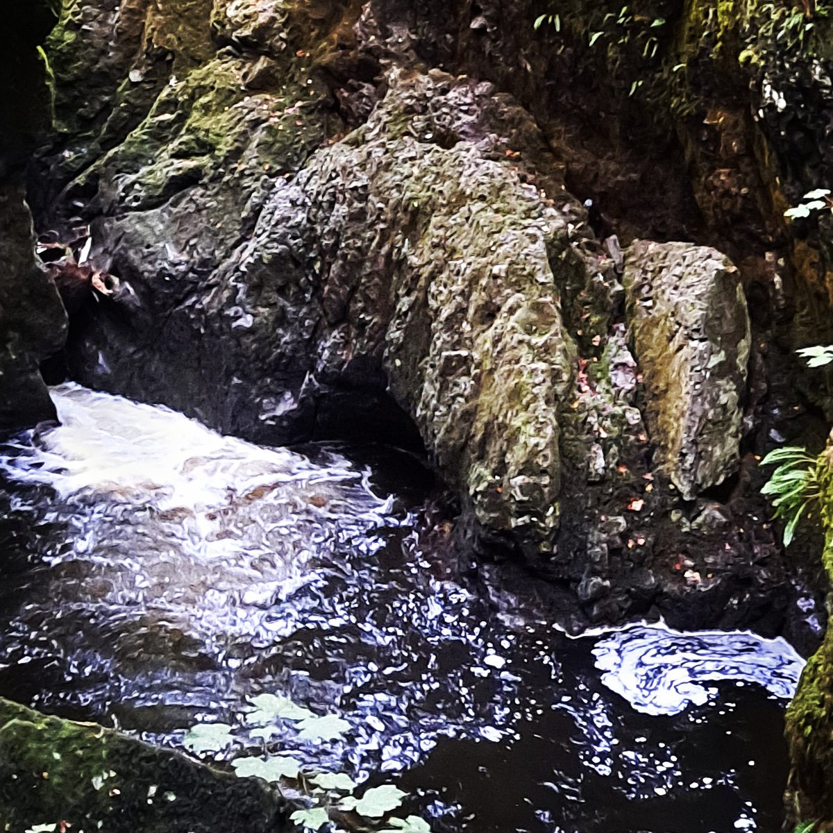 CarolGardner7's tweet photo. How this pandemic alters us. https://t.co/C1bXeSF4Dv is more about life's journeys rather than travel at the moment but hope lives. #nature #visitbritain #beautifulscenery #visitscotland #usaroadtrips #visitjapan #travelblogger #travelphotography https://t.co/82Uo47cLTZ