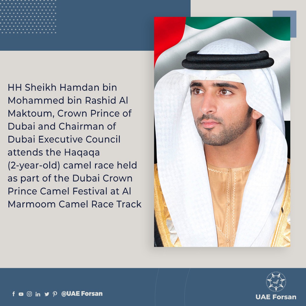 prince sheikh hamdan bin mohammed bin rashid al maktoum