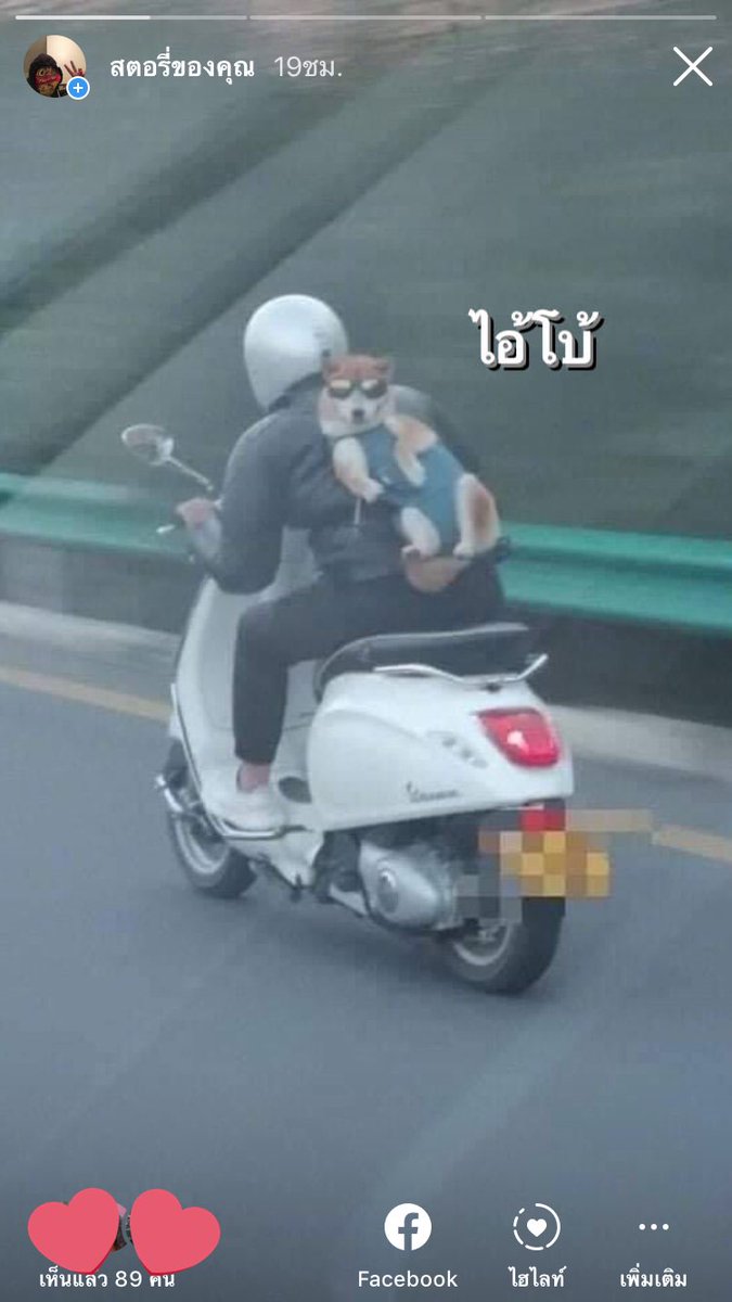 ปป tweet media