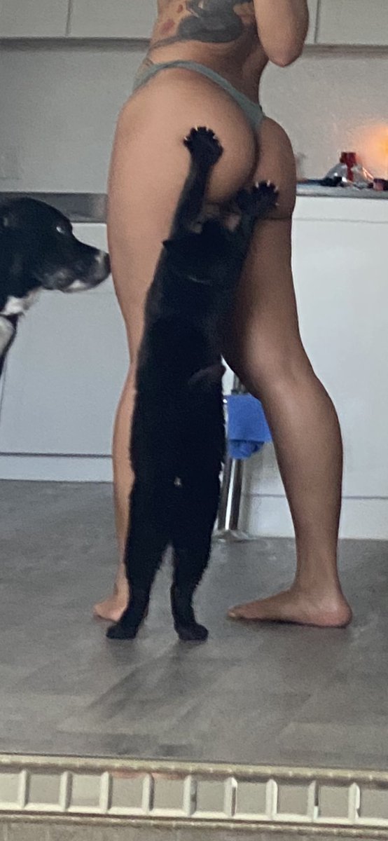 spinozadai's tweet photo. Que ganas de ser el Gato https://t.co/CxM7gB7F80