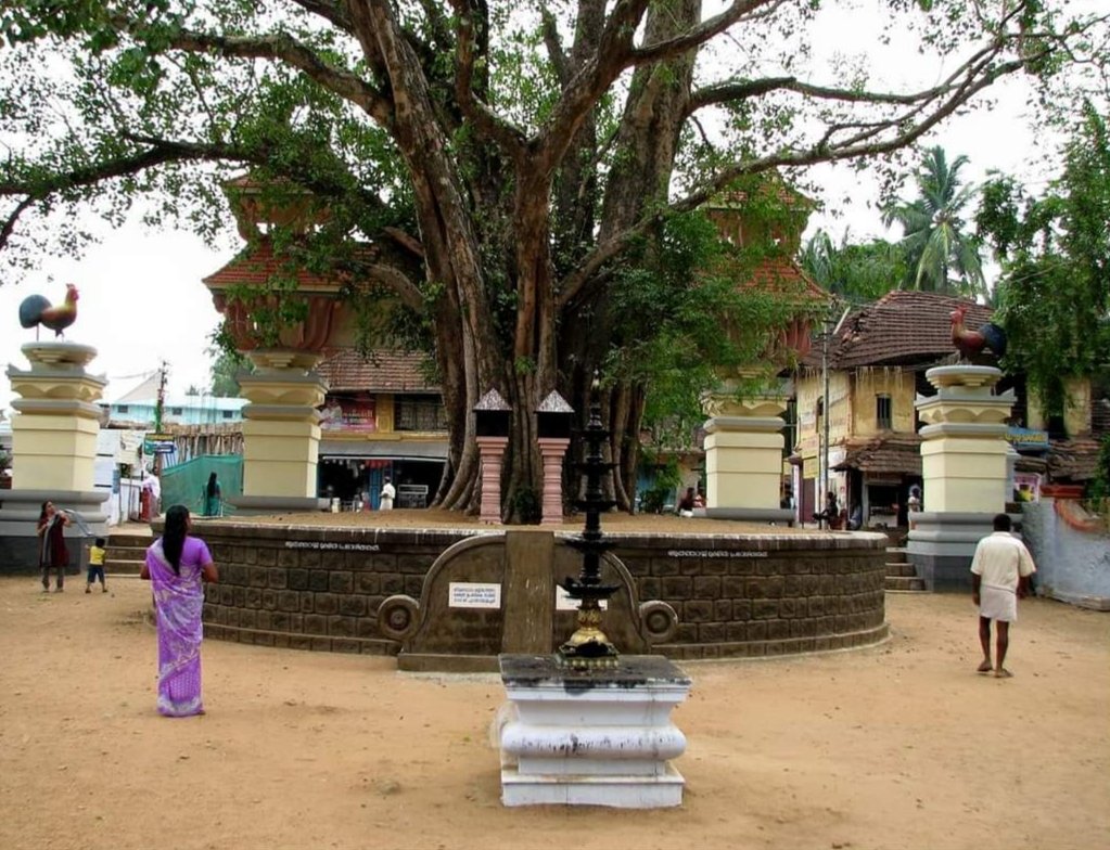 Sthala puranam says that Devi came from Varanasi with the King of Cochin who was a great Devi Bhakth. Sri Moolasthanam is in a peepal tree which is at the entrance of the temple. Interesting story tells how Devi came inside the temple from Sri Moolasthanam. 