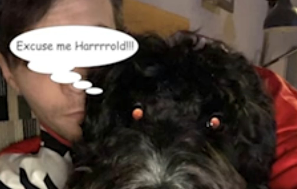 APRIL * F with Harry's anchor tattoo * Harry's strong accent and Wotahmelon Shuga * Clifford barKING and the interview being deleted after..* Mark posting a Fairy Harry TikTok saying "we're men"