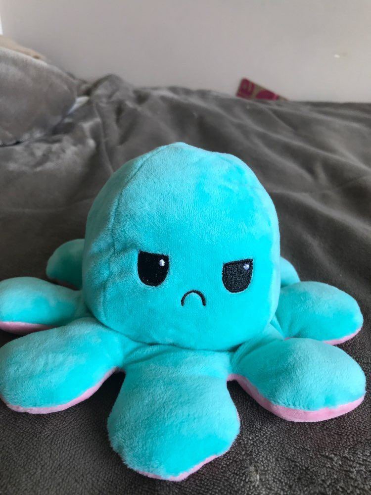 oh and while you’re here, check out these adorable cuddly plushies! reversible and therapeutic, so soft too   http://mood-plushies.com/octo 