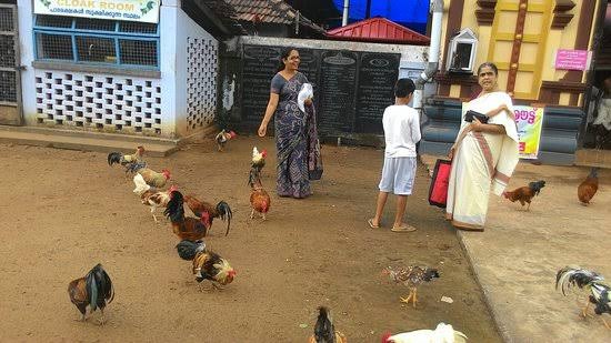 Prathishta inside Thidappally itself. There is a strange ritual here, which is Kozhi parathal ( flying a rooster)It is said that Devi came in the form of a rooster.