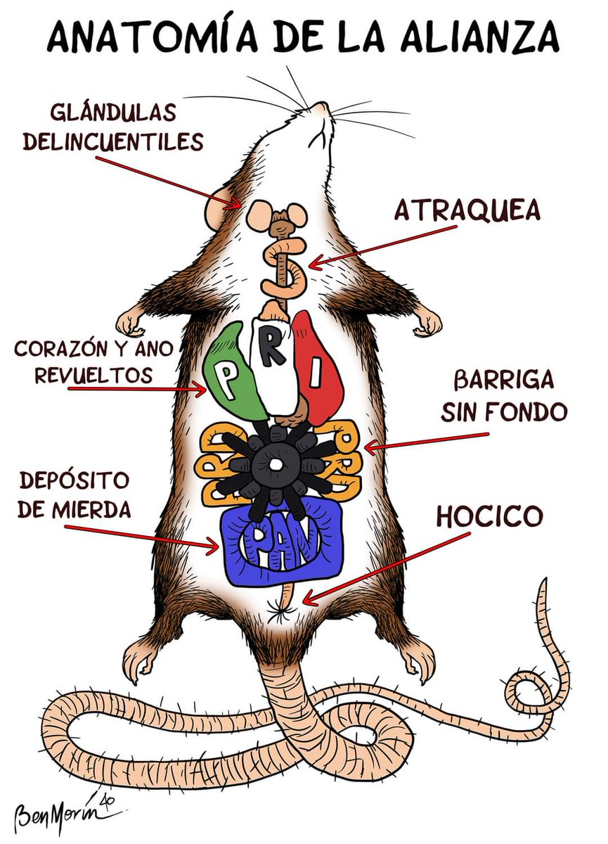 lorenzosanz's tweet photo. Así la anatomía de los de siempre, los que desprensían a México pero se enriquecen a más no poder con la economía de los más vulnerables!!🤷🏻 https://t.co/poOWFrADeI