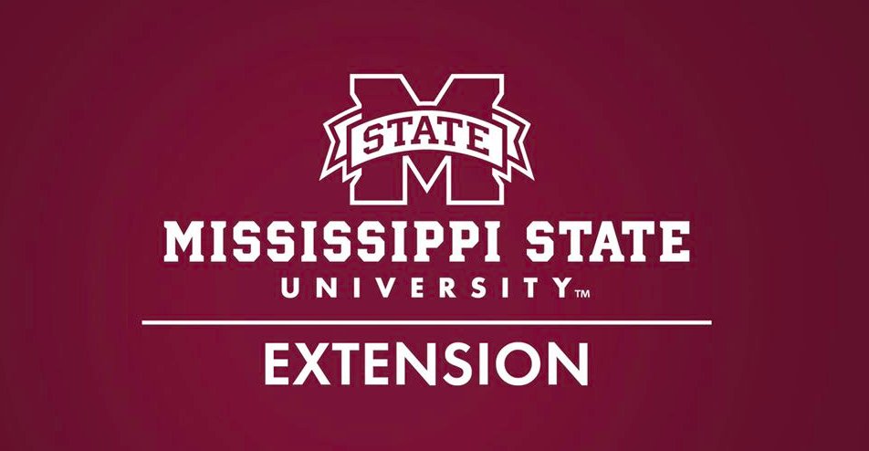 We are launching a new Extension Center for 4-H Youth Development to grow the next generation of leaders! 

@MSUextDirector asked Dr. Linda Mitchell to serve as the interim director of the center.

Read the official announcement here: ow.ly/C8b550D0S8i #MS4H #MSUext 🍀