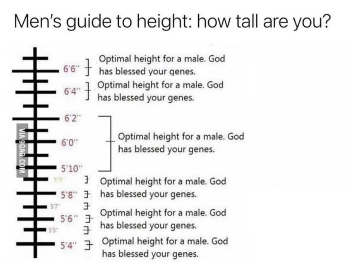 Respectful Memes (@respectfulmemes) on Twitter photo 