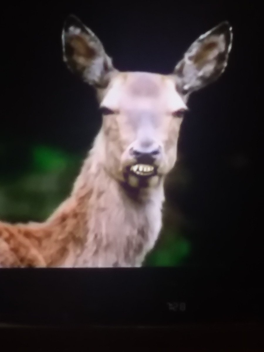 darkmagic4598's tweet photo. @ARoD_Gamer99 @ad2b194b58f04c8 The Angry Deer is here and waiting for more bullshit eye pokes in UFC 😂😂😂 https://t.co/YTQakKqDrl