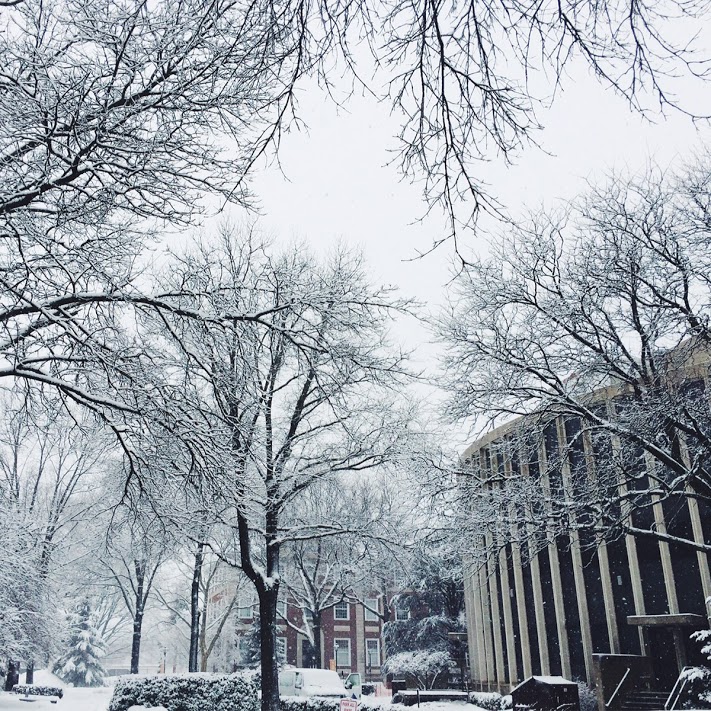 AdelphiU's tweet image. #TransformationTuesday: We love how campus looks covered in a layer of snow! Share your favorite #WinterAtAdelphi photos with us in the comments.