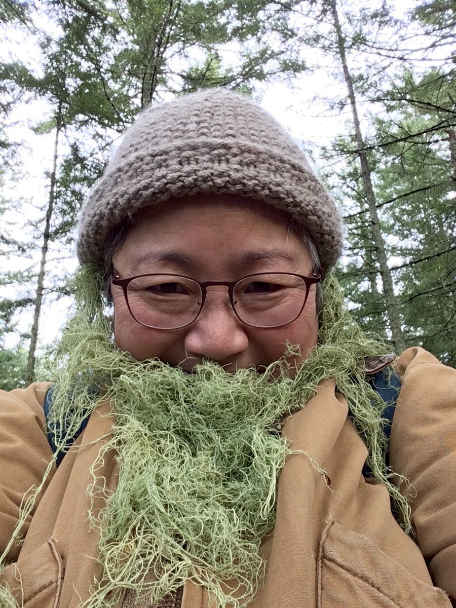 hinganai's tweet image. Peak #Treebeard attained, @TobySpribille! Your move! 😂💚 #lichen
