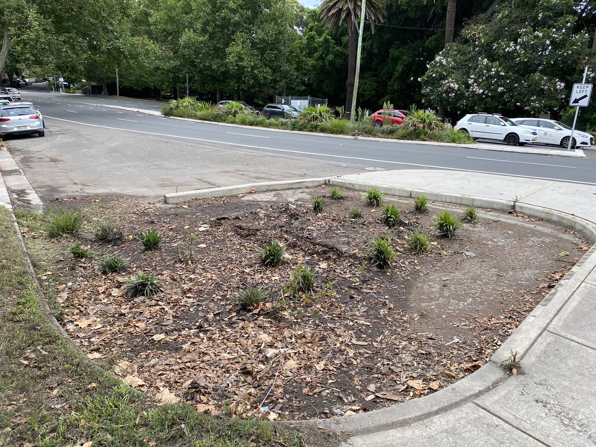 Wasn’t there a stormwater drain around here somewhere?