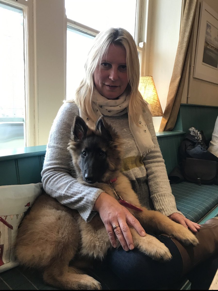 DogsUnderstood's tweet photo. Don’t feel trapped at home with your new puppy. Training can still go ahead during lockdown. Video on line training is available. Contact Sally on https://t.co/uEu9jhe9Ki https://t.co/5NUBwnnpt7