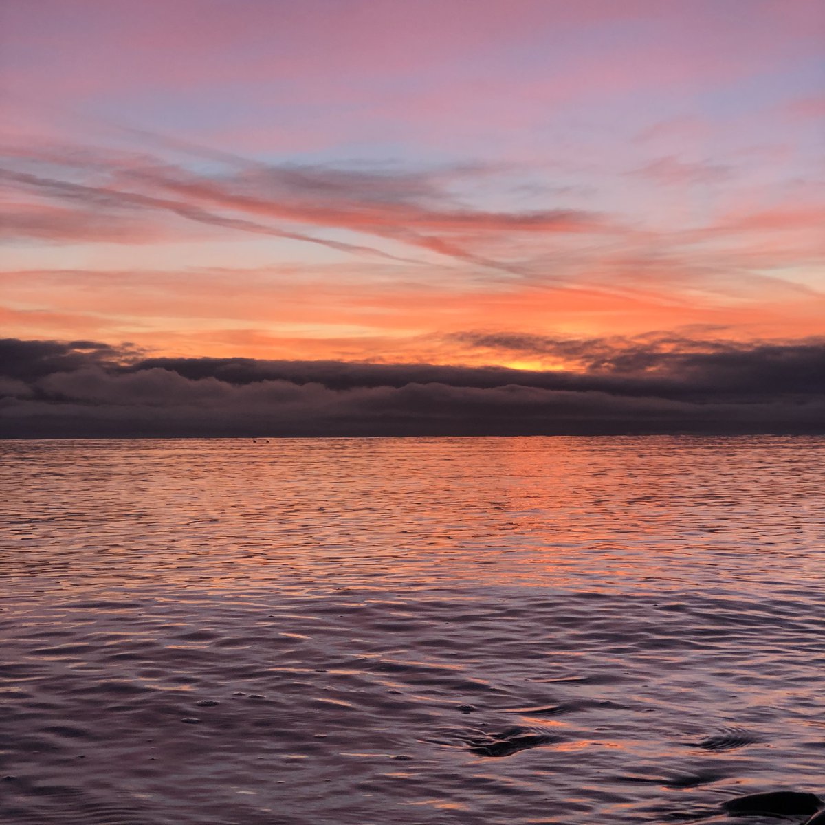 Welcome to 2021. We are thankful for everyone that has supported our journey &amp; the beautiful communities we live in and serve. Here's to a better year ahead.

#video #marketing #design #comox #courtenay #campbellriver #nanaimo #quatsinonation #goldriver #porthardy #northisland