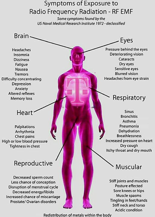 valuesandtruth's tweet image. 