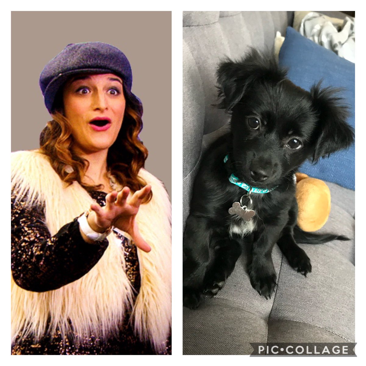 miller_brookee's tweet photo. @nbc Mona! She acts nothing like her namesake, Mona-Lisa Saperstein. https://t.co/9c3njfTXmM